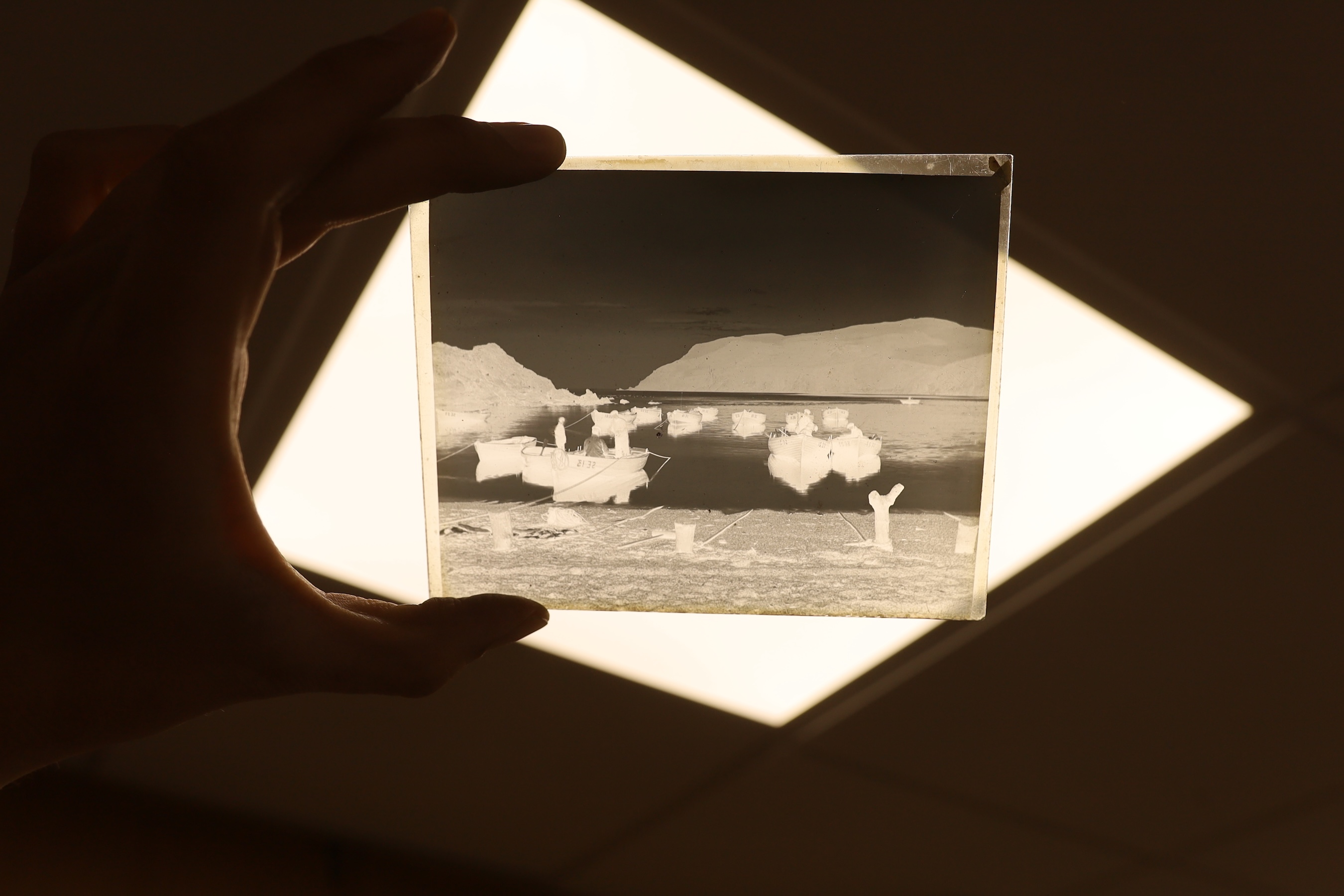 Red Label Zona and a collection of other photographic plates